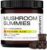 Mushroom Supplement with Lions Mane – Old Model